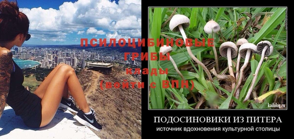 MDMA Богданович