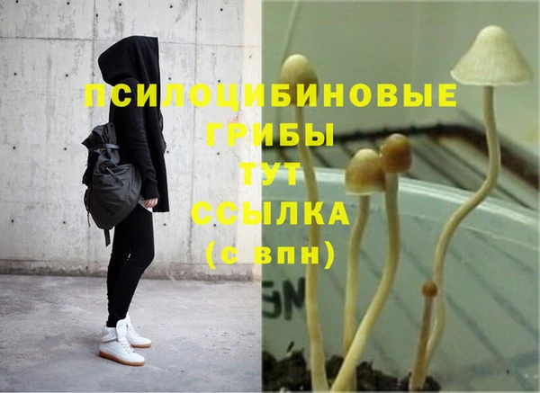 ешки Богородск